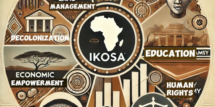 IKOSA Expertise and Areas of Activity